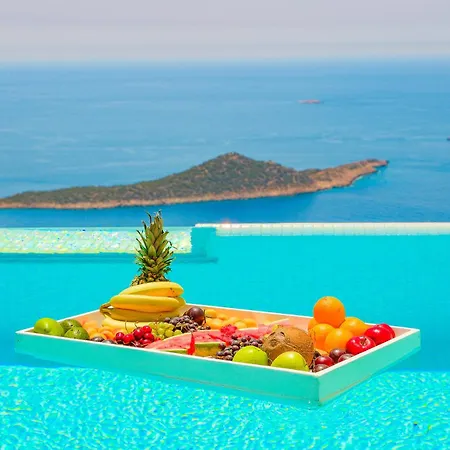 Nest - Hill Vista Villa *